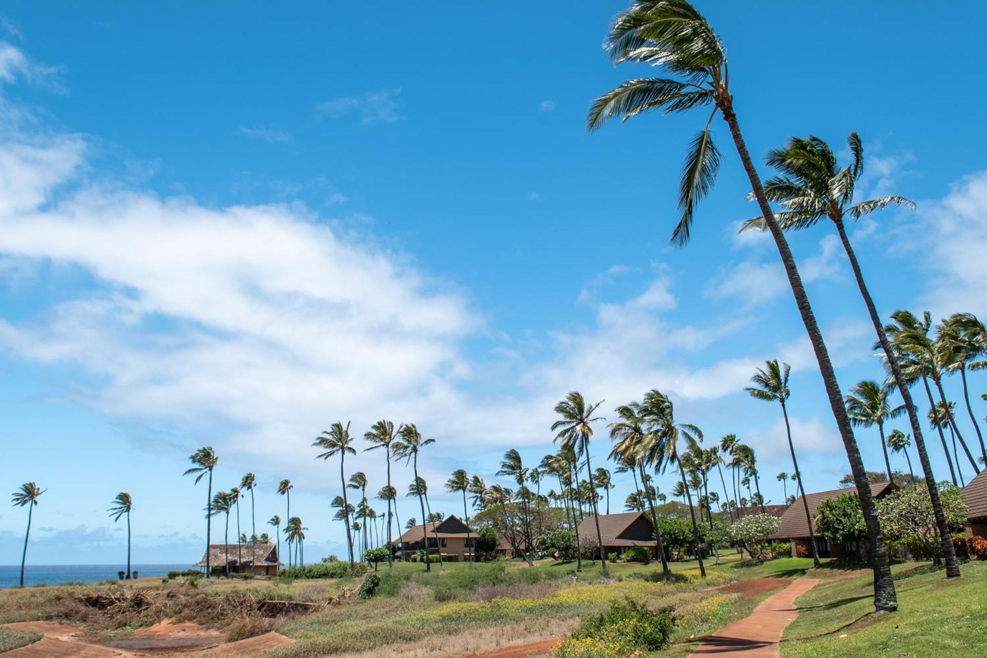 Kepuhi Beach Resort Maunaloa Camera foto